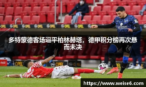 星空.综合体育