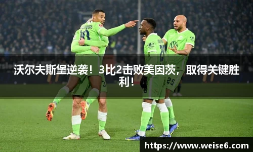 星空.综合体育官网
