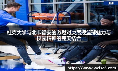 星空.综合体育官网