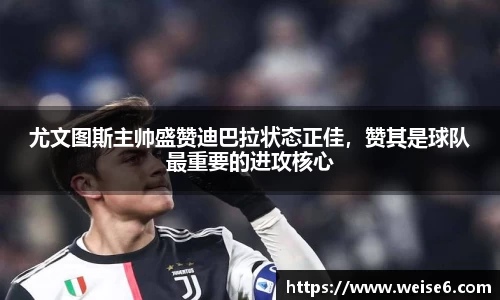 星空.综合体育(中国)官方网站