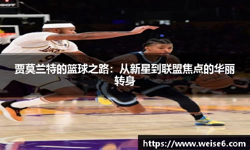 星空.综合体育(中国)官方网站