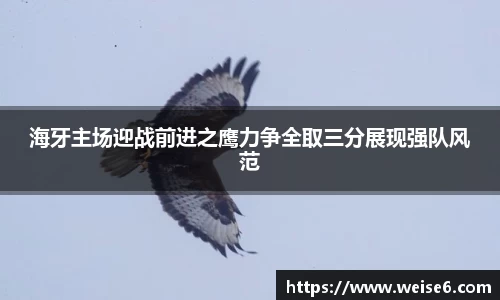 星空.综合体育(中国)官方网站