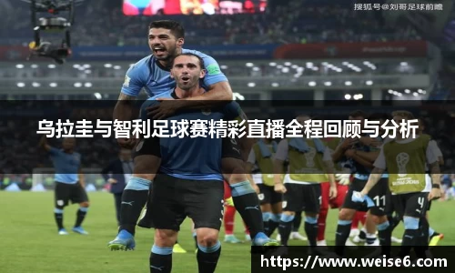 星空综合(中国)官方网站