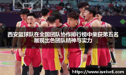 星空.综合体育官网