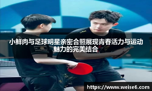 星空.综合体育官网