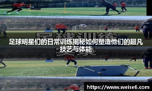 星空.综合体育官网