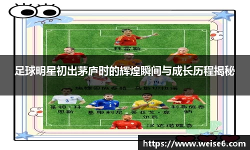 星空.综合体育(中国)官方网站