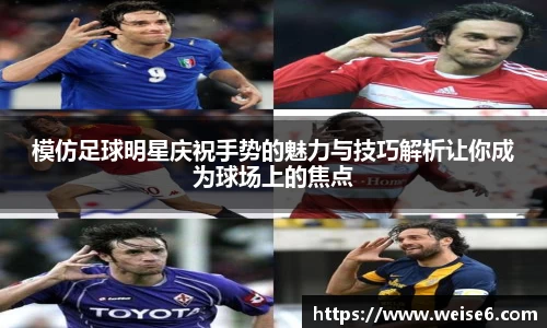 星空.综合体育官网