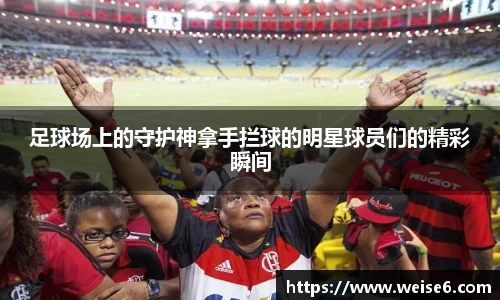 星空.综合体育官网